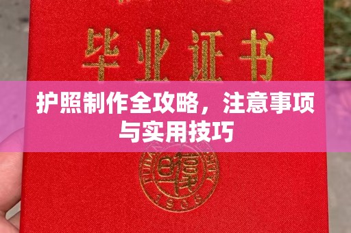 柯坪护照制作全攻略，注意事项与实用技巧
