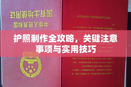柯坪护照制作全攻略，关键注意事项与实用技巧