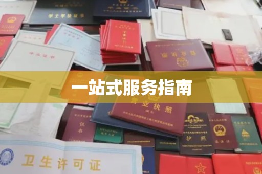 柯坪一站式服务指南
