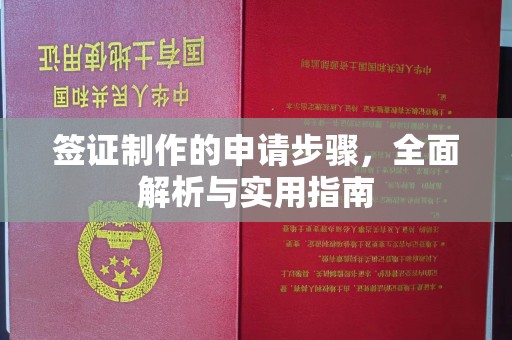 柯坪签证制作的申请步骤，全面解析与实用指南
