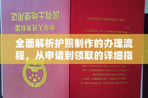 柯坪全面解析护照制作的办理流程，从申请到领取的详细指南
