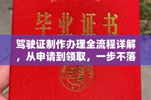 柯坪驾驶证制作办理全流程详解，从申请到领取，一步不落